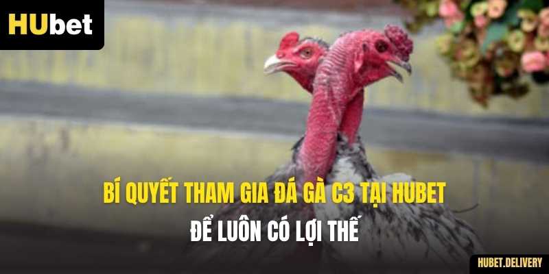 Bí quyết tham gia đá gà C3 tại Hubet để luôn có lợi thế