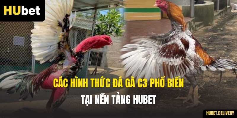 Các hình thức đá gà C3 phổ biến tại nền tảng Hubet