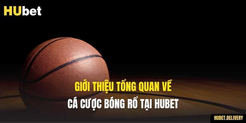Giới thiệu tổng quan về cá cược bóng rổ tại Hubet