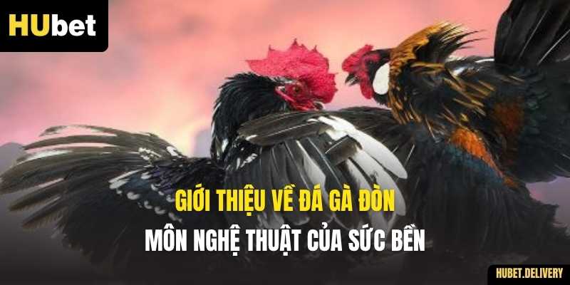 Giới thiệu về Đá gà đòn – Môn nghệ thuật của sức bền
