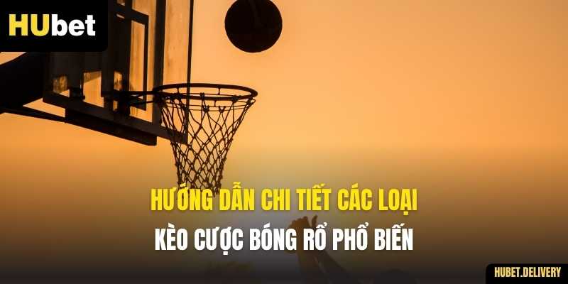 Hướng dẫn chi tiết các loại kèo cược bóng rổ phổ biến