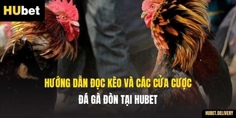 Hướng dẫn đọc kèo và các cửa cược Đá gà đòn tại Hubet