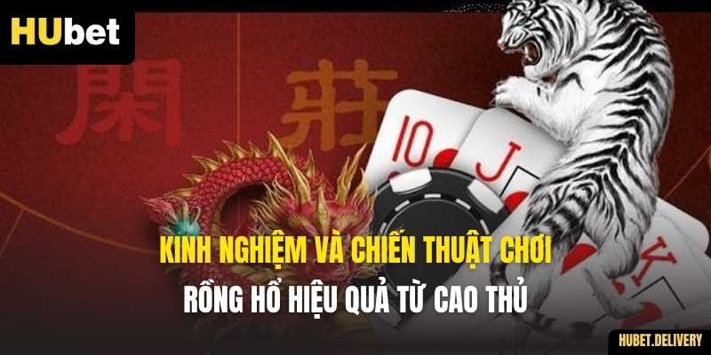 Kinh nghiệm và chiến thuật chơi Rồng Hổ hiệu quả từ cao thủ