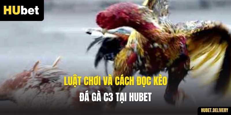 Luật chơi và cách đọc kèo Đá gà C3 tại Hubet