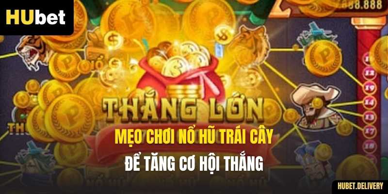 Mẹo chơi Nổ Hũ Trái Cây để tăng cơ hội thắng