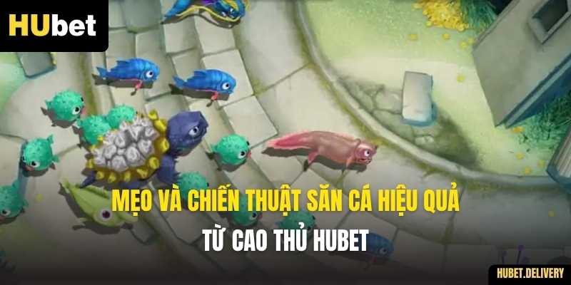 Mẹo và chiến thuật săn cá hiệu quả từ cao thủ Hubet
