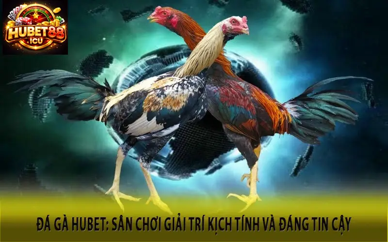 Đá Gà Hubet Sân Chơi Giải Trí Kịch Tính Và Đáng Tin Cậy
